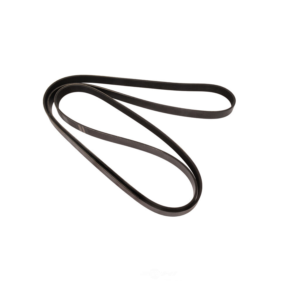 Serpentine Belt   FVP   895K6