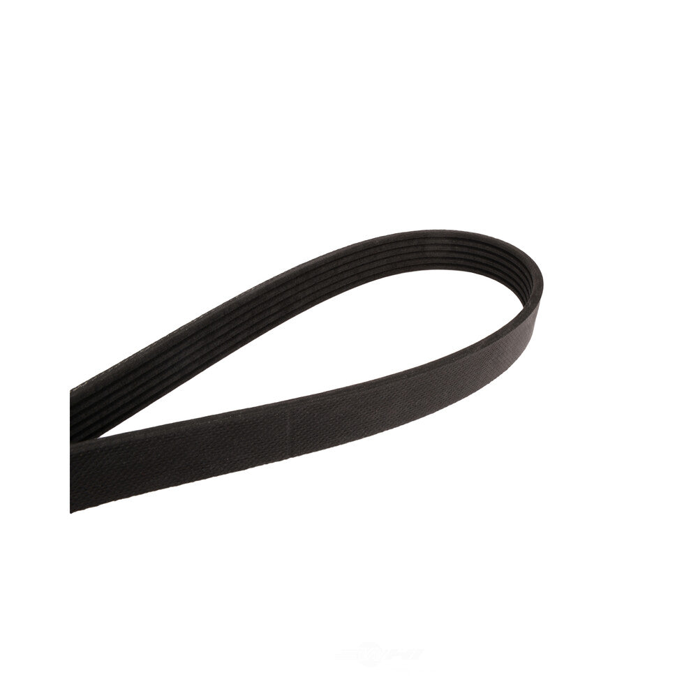 Serpentine Belt   FVP   895K6