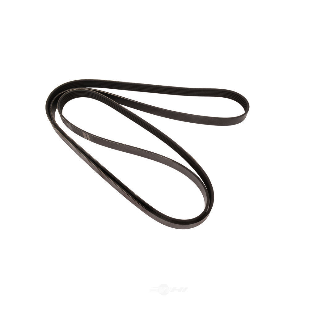 Serpentine Belt   FVP   747K6