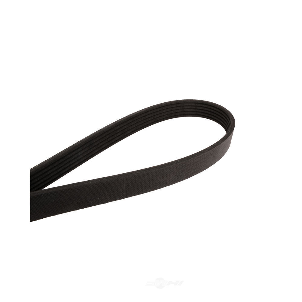 Serpentine Belt   FVP   747K6