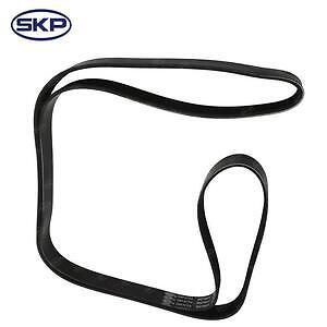 Serpentine Belt  Skyward Automotive  SK070852