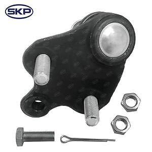 Lower Ball Joint  Skyward Automotive  SK80595