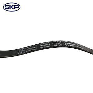 Serpentine Belt  Skyward Automotive  SK060605