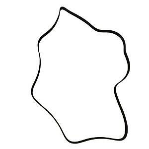 Serpentine Belt  Skyward Automotive  SK060930