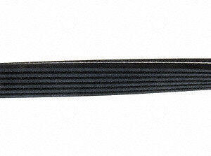 Serpentine Belt  Continental  D4060718