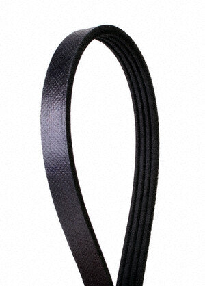 Serpentine Belt  Continental  4PK843