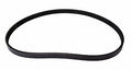 Continental Premuim Serpentine Belt 4040329S
