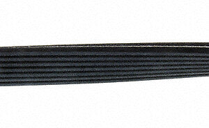 Continental Premuim Serpentine Belt D4070536