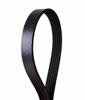 Serpentine Belt  Continental  5PK1060