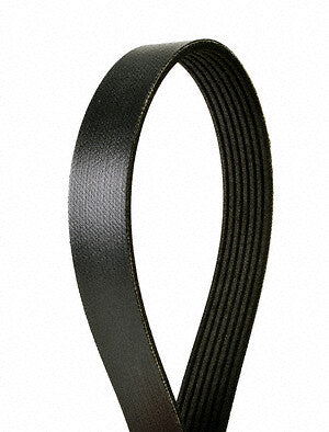 Serpentine Belt  Continental  7PK1705
