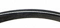 Serpentine Belt  Continental  D4070816