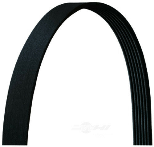 Serpentine Belt  Dayco  5060868DR