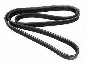 Continental Premuim Serpentine Belt D4070536