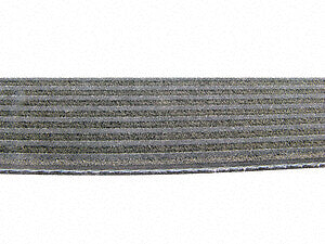 Serpentine Belt  Continental  D4081403