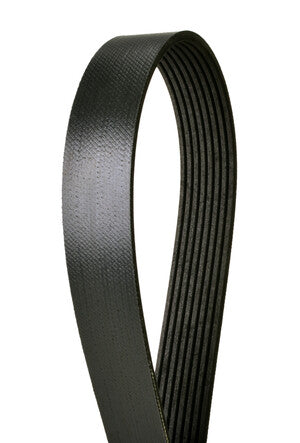 Serpentine Belt  Continental  4081244X
