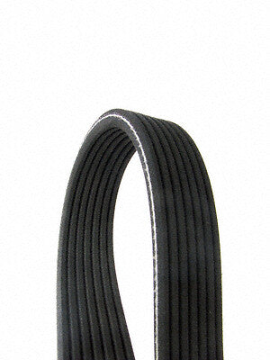 Continental Premuim Serpentine Belt D4070536