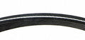 Serpentine Belt  Continental  D4060718