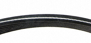Serpentine Belt  Continental  D4060808