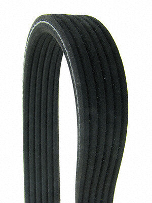 Serpentine Belt  Continental  D4060861