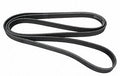 Serpentine Belt  Continental  D4080555