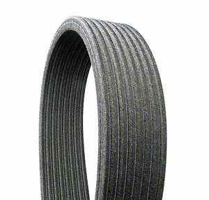 Serpentine Belt  Continental  D4080569